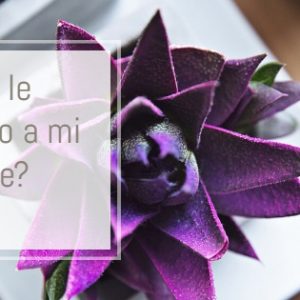 Regalos día de la madre